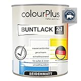 colourPlus®? 2in1 Buntlack (750ml, RAL 7035 Lichtgrau) seidenmatter Acryllack - Lack für...