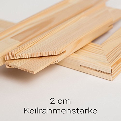 Generisch Keilrahmen Bausatz 2 cm Holzleisten Set selbst zusammenbauen ohne Leinwand (50x60)