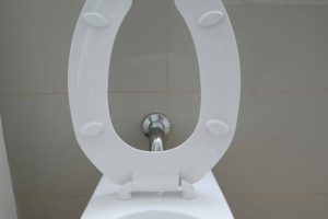 Toilettensitzerhöhung anbauen - Der absolute Gewinner 