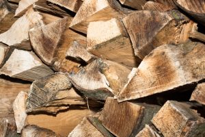 Optimale Holzqualität für den Holzofen