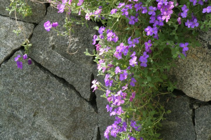 Steine für Gartenmauer