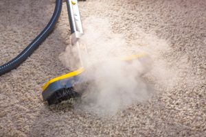 Teppich Gerüche entfernen