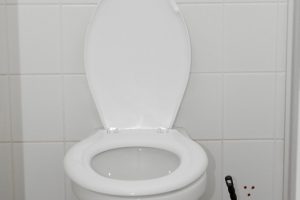 Toilettenspülung defekt