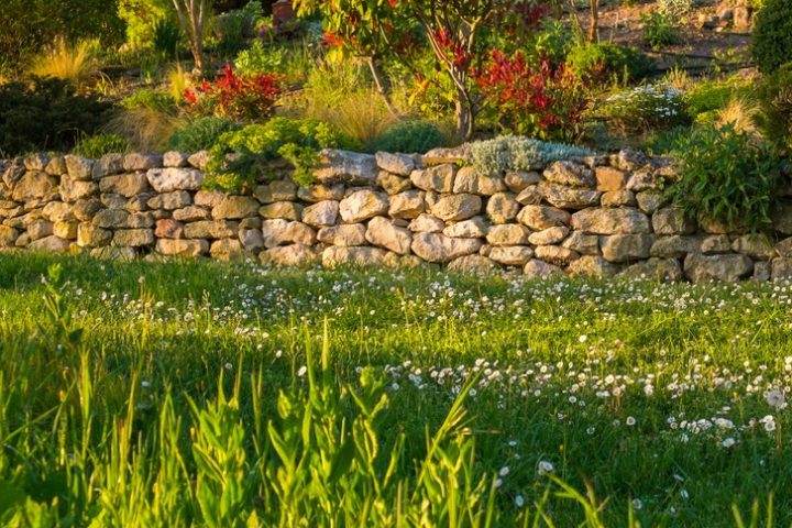Trockenmauer Garten