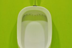 Urinal verstopft