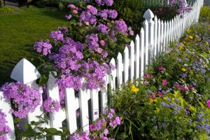 Zaun statt Gartenmauer