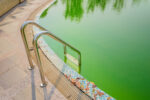 algen-im-pool-entfernen