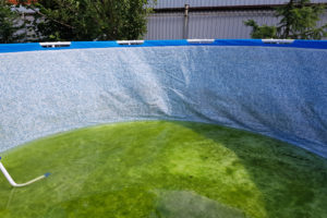 algen-in-pool-entfernen