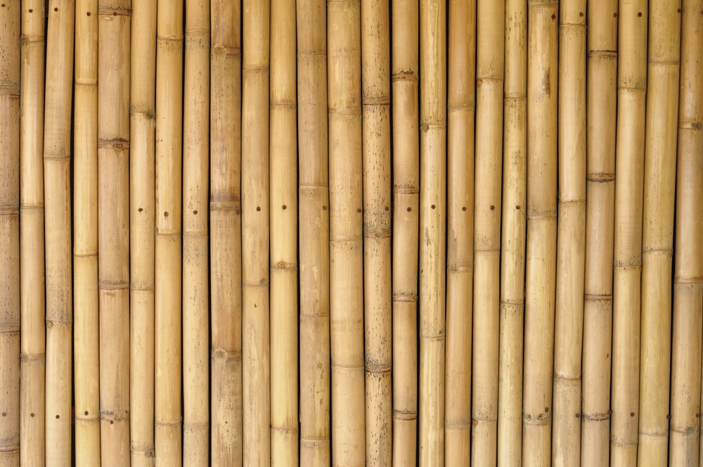 bambus-raumteiler-selber-bauen
