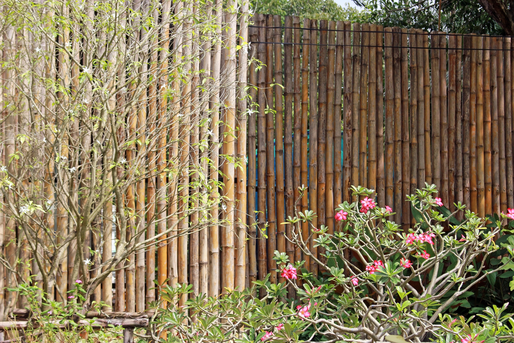 bambus-sichtschutz-befestigen