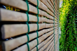 bambus-terrasse-schimmel