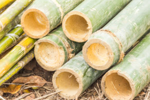 bambus-trocknen