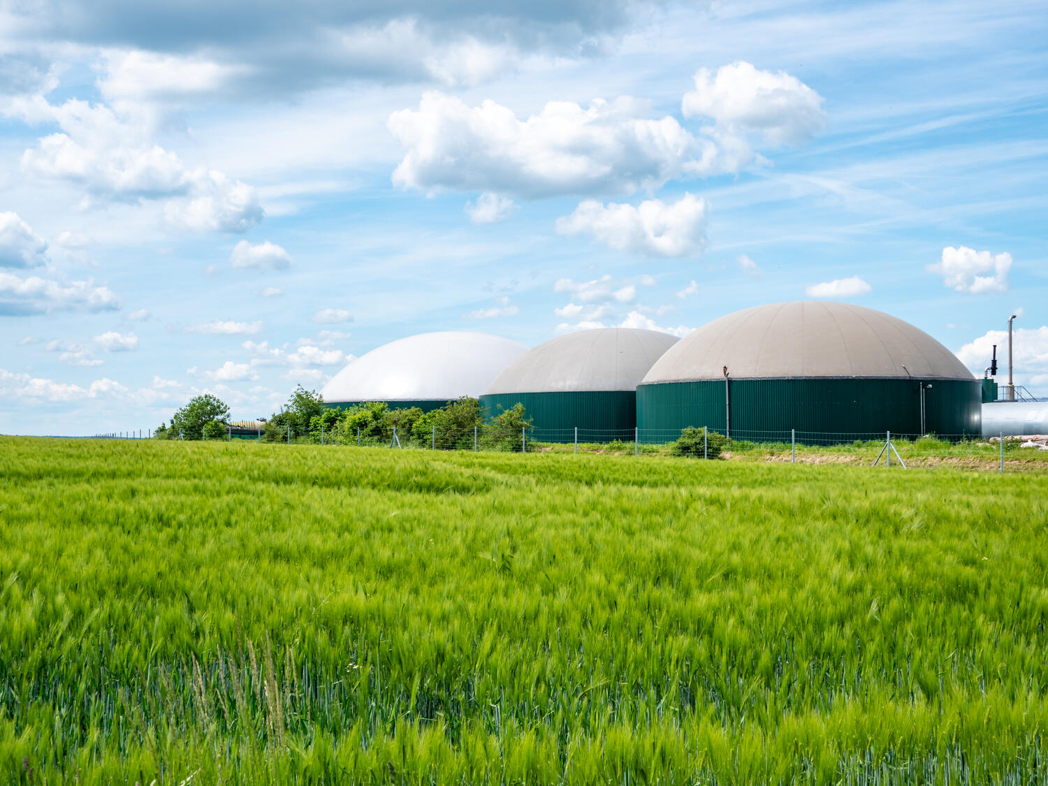 biogasanlage-kosten