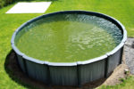 hausmittel-gegen-algen-im-pool