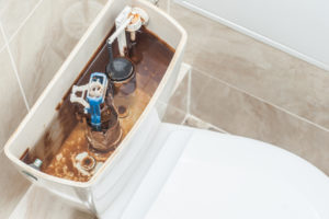 Welche Kauffaktoren es vor dem Kauf die Entkalker für wc spülkasten zu analysieren gilt