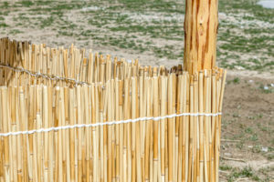 Auf welche Faktoren Sie zu Hause bei der Auswahl bei Bambus sichtschutz balkon befestigen Aufmerksamkeit richten sollten