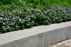 zaun-auf-betonmauer